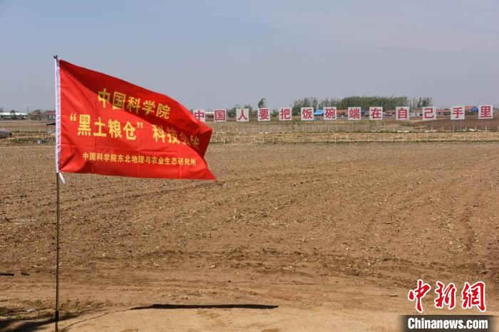 中科院“黑土粮仓”科技会战梨树万亩示范区，会战旗帜、标语醒目。　中新社记者 孙自法 摄