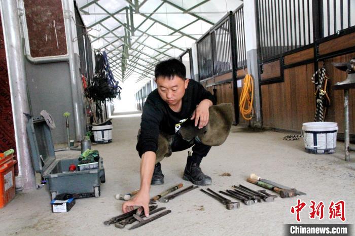 钉蹄师邵腾展示自己的工具,准备给即将参加中国第十四届运动会的赛马钉蹄铁。 孙宏瑗 摄 钉蹄师邵腾展示自己的工具,准备给即将参加中国第十四届运动会的赛马钉蹄铁。 孙宏瑗 摄